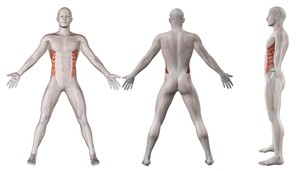 Modelo corporal 3D artificial com marcação de manchas